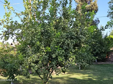 Other - 7050 N 8th Ave, Phoenix, AZ 85021 photo 21 of 26