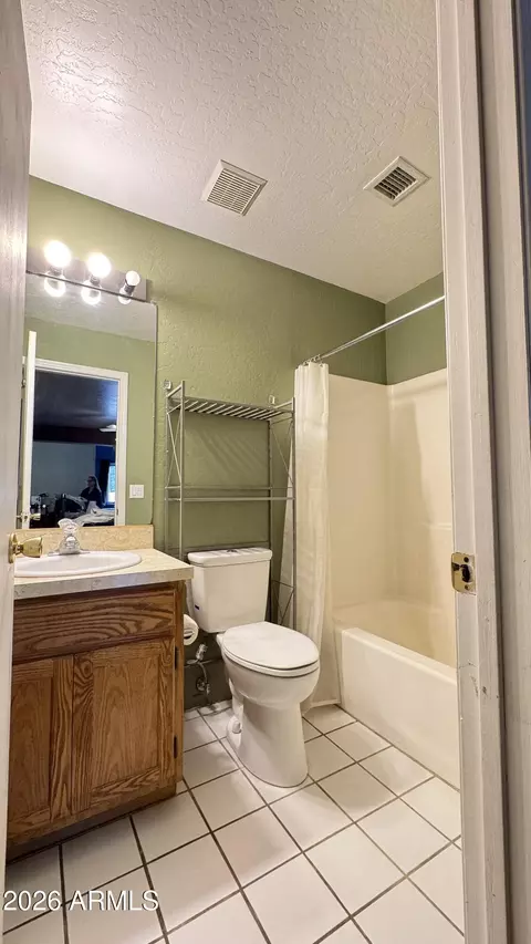 Bath - 2848 E Brown Rd #30, Mesa, AZ 85213 photo 3 of 4