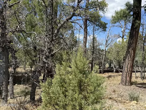 1226 Green Ridge Dr #80, Happy Jack, AZ 86024