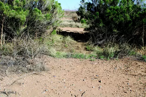 120 S Acres S Wayward Winds Rd #0, Willcox, AZ 85643 photo 22