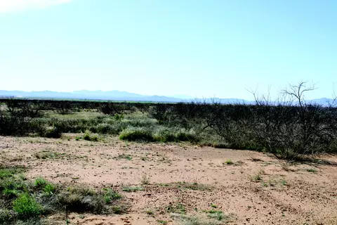 120 S Acres S Wayward Winds Rd #0, Willcox, AZ 85643 photo 8