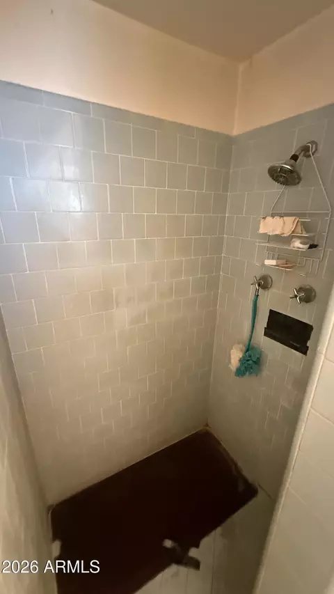Bath - 1315 E Pepper Pl, Mesa, AZ 85203 photo 6 of 9