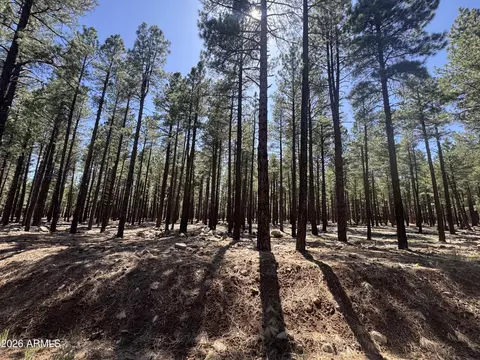 9576 Ranch At The Peaks Way #66, Flagstaff, AZ 86001