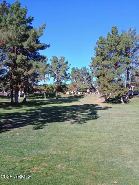 Other - 9625 S Forest Ave, Tempe, AZ 85284 photo 24 of 25