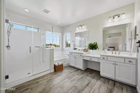 Bath - 2144 E Flamingo Way E, Gilbert, AZ 85297 photo 3 of 3