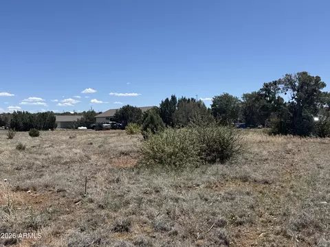 8394 Silver Creek Dr #35, Show Low, AZ 85901