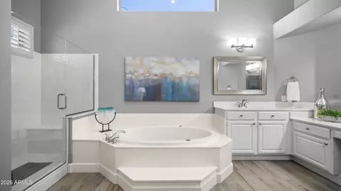 Bath - 7360 E Sandia Cir, Mesa, AZ 85207 photo 2 of 5