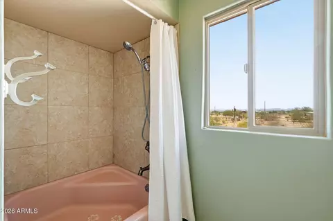 Bath - 22466 E Cactus Forest Rd, Florence, AZ 85132 photo 3 of 4