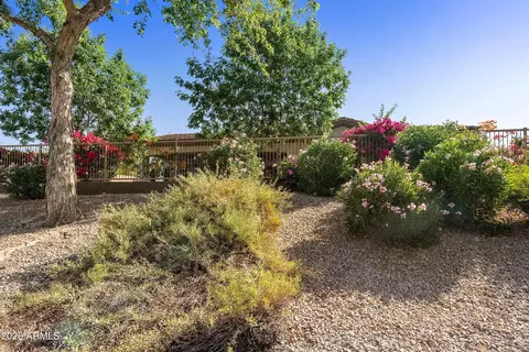 Exterior - 4239 E Ficus Way, Gilbert, AZ 85298 photo 19 of 20