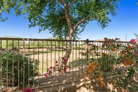 Exterior - 4239 E Ficus Way, Gilbert, AZ 85298 photo 15 of 20