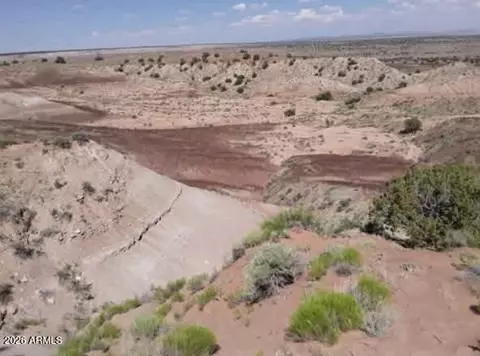 tbd 210-06-005 And 206-51-136 -- #005, Chambers, AZ 86502