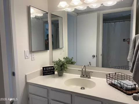 Bath - 30 E Brown Rd #1024, Mesa, AZ 85201 photo 1 of 4