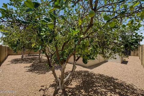 Exterior - 463 S Olmo Cir, Apache Junction, AZ 85120 photo 3 of 3