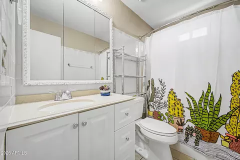 Bath - 463 S Olmo Cir, Apache Junction, AZ 85120 photo 3 of 3
