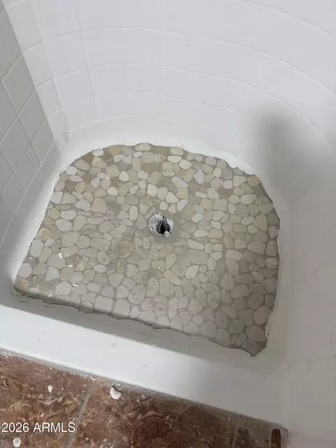 Bath - 1220 S 10th Ave, Phoenix, AZ 85007 photo 6 of 8