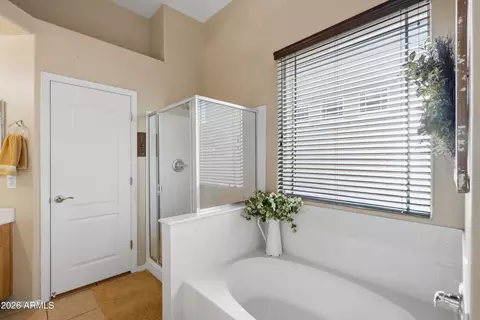 Bath - 3906 E Pollack St, Phoenix, AZ 85042 photo 2 of 4