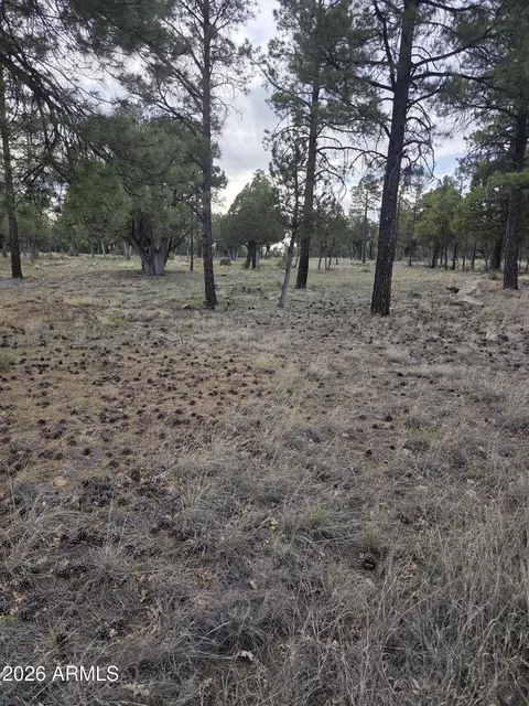 2584 Arapaho Dr #600, Happy Jack, AZ 86024