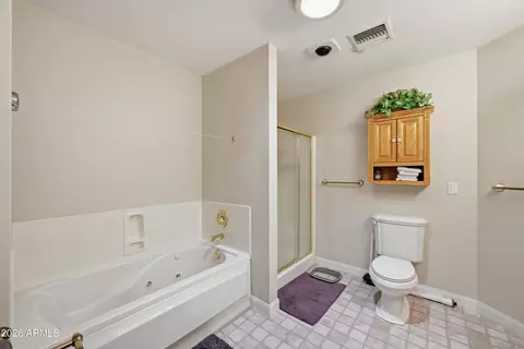 Bath - 6643 E Ingram St, Mesa, AZ 85205 photo 1 of 3