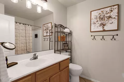 Bath - 672 N Bridlegate Dr, Gilbert, AZ 85234 photo 4 of 4