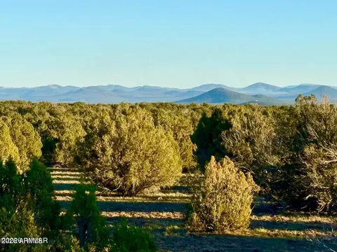 9023 Appaloosa Lots A D -- #-, Show Low, AZ 85901
