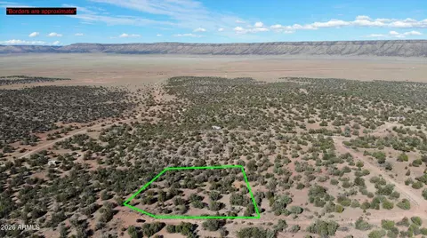 31454 W Buena Tierra Pkwy #4060, Seligman, AZ 86337