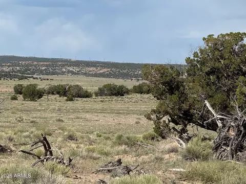 n6581 N N6581 -- #765, Saint Johns, AZ 85936
