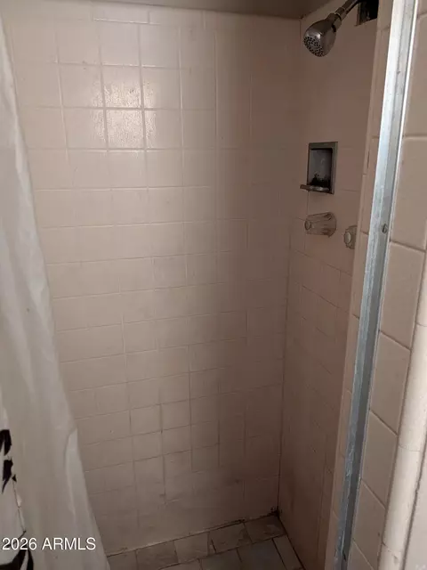 Bath - 432 Euclid Ave, Phoenix, AZ 85042 photo 2 of 2