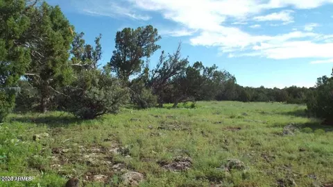 71 Acr 8001 -- #632, Concho, AZ 85924