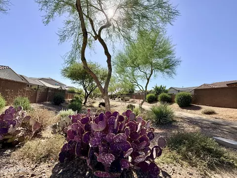 Exterior - 2539 W Rabjohn Rd, Phoenix, AZ 85085 photo 3 of 22