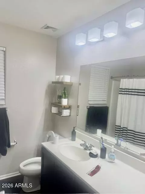Bath - 919 S Pheasant Dr, Gilbert, AZ 85296 photo 4 of 4