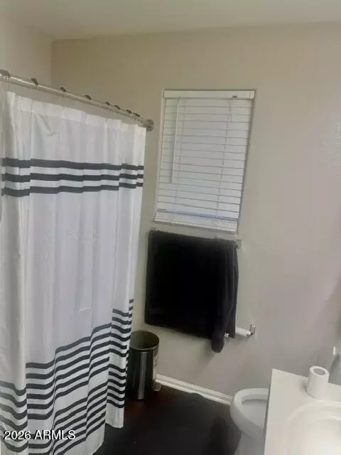 Bath - 919 S Pheasant Dr, Gilbert, AZ 85296 photo 3 of 4