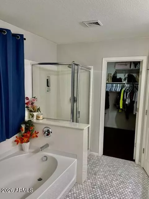 Bath - 919 S Pheasant Dr, Gilbert, AZ 85296 photo 2 of 4