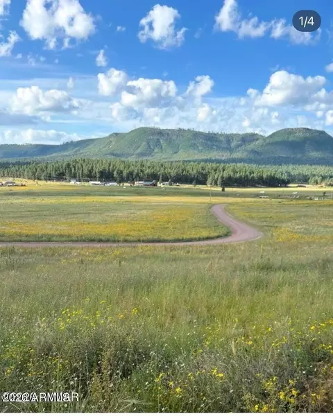 27 County Road 2330 -- #32, Alpine, AZ 85920