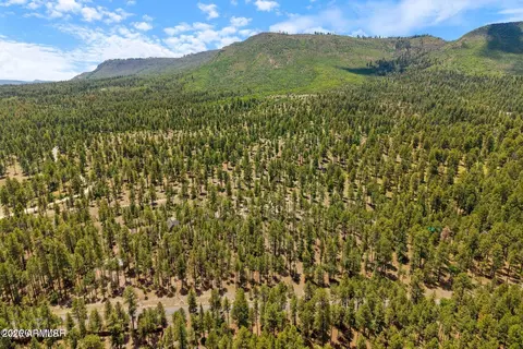 98 County Road 2266 -- #N/A, Alpine, AZ 85920