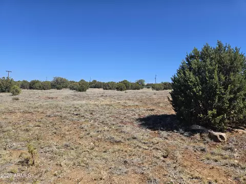 2429 Bourdon Ranch Rd #F, Show Low, AZ 85901