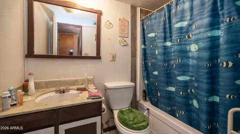 Bath - 3739 W Wethersfield Rd, Phoenix, AZ 85029 photo 1 of 2