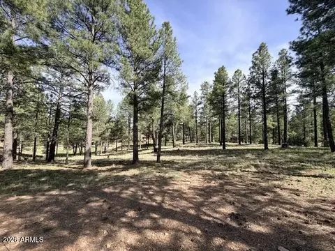 3698 S Woodland Hills Dr #383, Flagstaff, AZ 86005