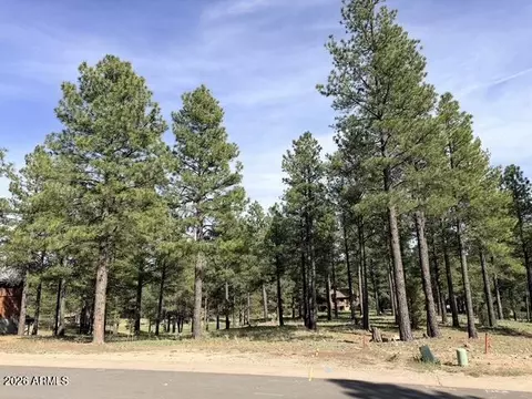 3698 S Woodland Hills Dr #383, Flagstaff, AZ 86005