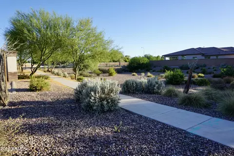 Exterior - 1431 E Flower St, Gilbert, AZ 85298 photo 3 of 5