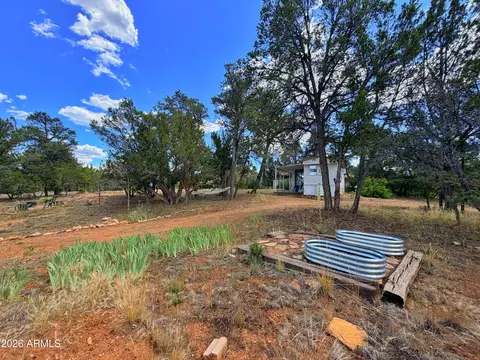 3405 Buckhorn Bend Rd, Overgaard, AZ 85933 photo 12