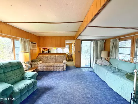3405 Buckhorn Bend Rd, Overgaard, AZ 85933 photo 4