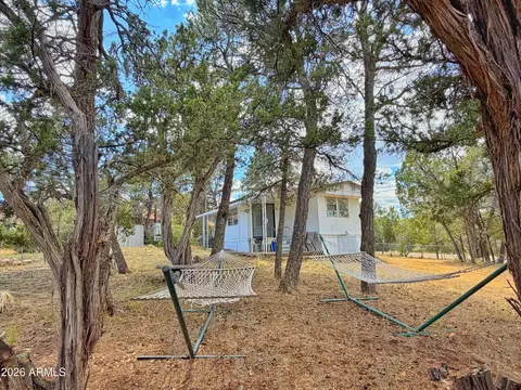 3405 Buckhorn Bend Rd, Overgaard, AZ 85933