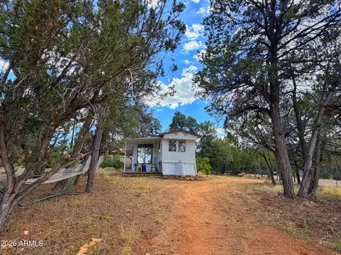 3405 Buckhorn Bend Rd, Overgaard, AZ 85933 photo 2