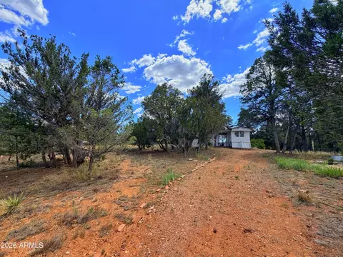 3405 Buckhorn Bend Rd, Overgaard, AZ 85933 photo 13