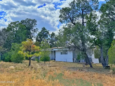 3405 Buckhorn Bend Rd, Overgaard, AZ 85933 photo 11