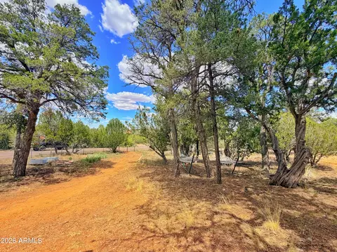 3405 Buckhorn Bend Rd, Overgaard, AZ 85933 photo 10