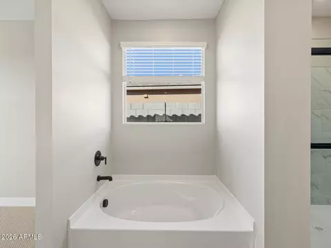 Bath - 309 W Rock Needle Trl, Apache Junction, AZ 85120 photo 6 of 10