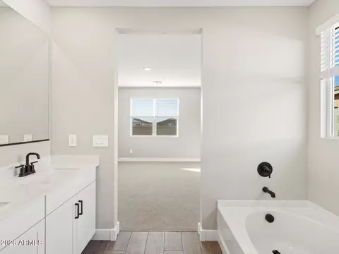 Bath - 309 W Rock Needle Trl, Apache Junction, AZ 85120 photo 9 of 10