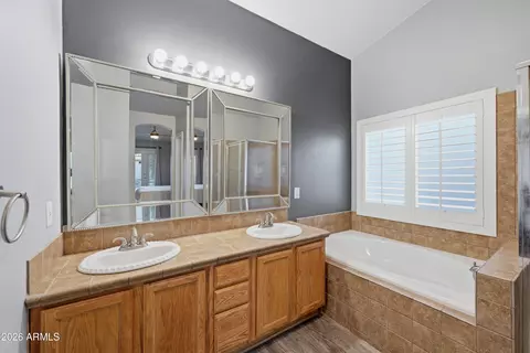 Bath - 1050 W Cooley Dr, Gilbert, AZ 85233 photo 2 of 3