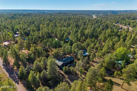 View/Area - 3307 Pine Cone Dr, Overgaard, AZ 85933 photo 3 of 7